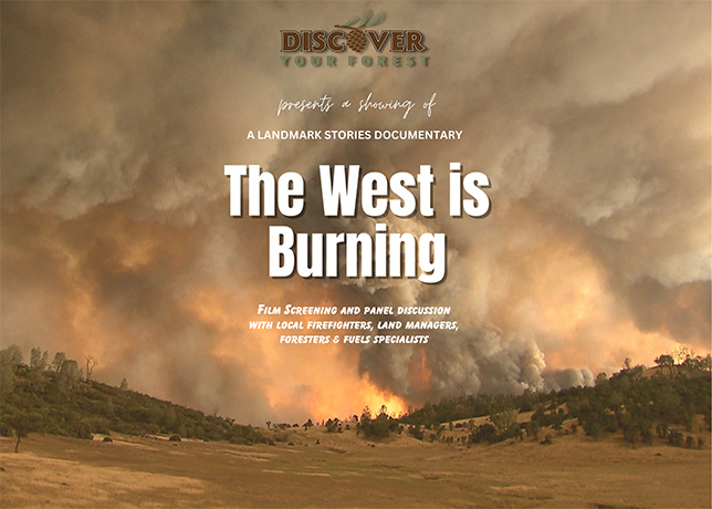 The West is Burning poster