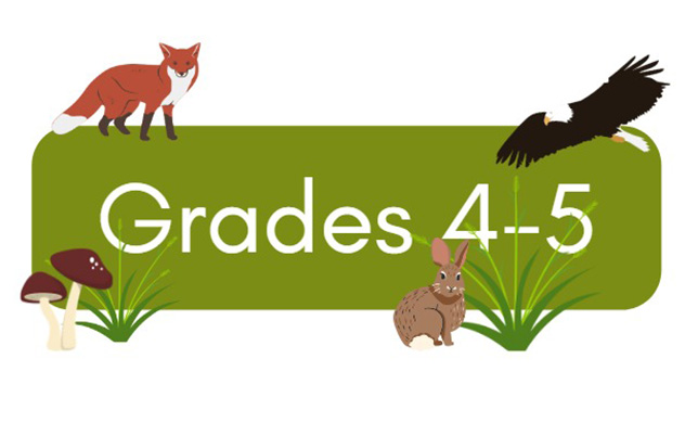 Grades 4-5