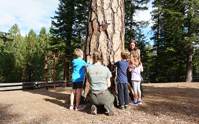kids and a ranger looking at a tree