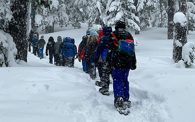 Kids walking in a line in the snow